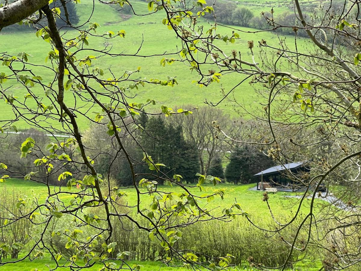 Quirky, Luxury Hideaway Llanbrynmair Exterior foto