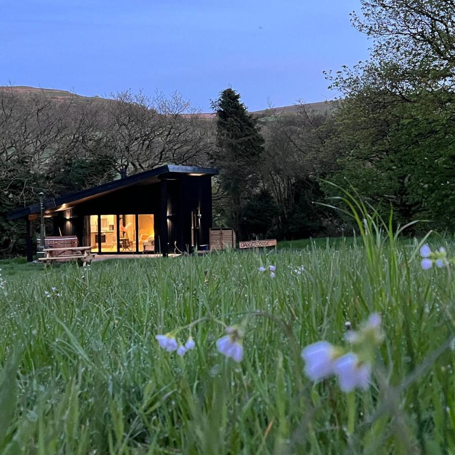 Quirky, Luxury Hideaway Llanbrynmair Exterior foto
